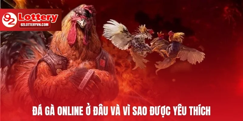 Đá gà online ở đâu và vì sao được yêu thích