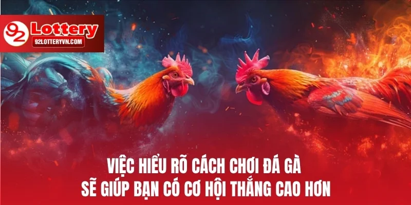 Việc hiểu rõ cách chơi đá gà sẽ giúp bạn có cơ hội thắng cao hơn