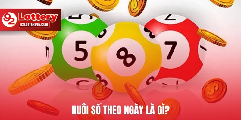 Nuôi số theo ngày là gì?